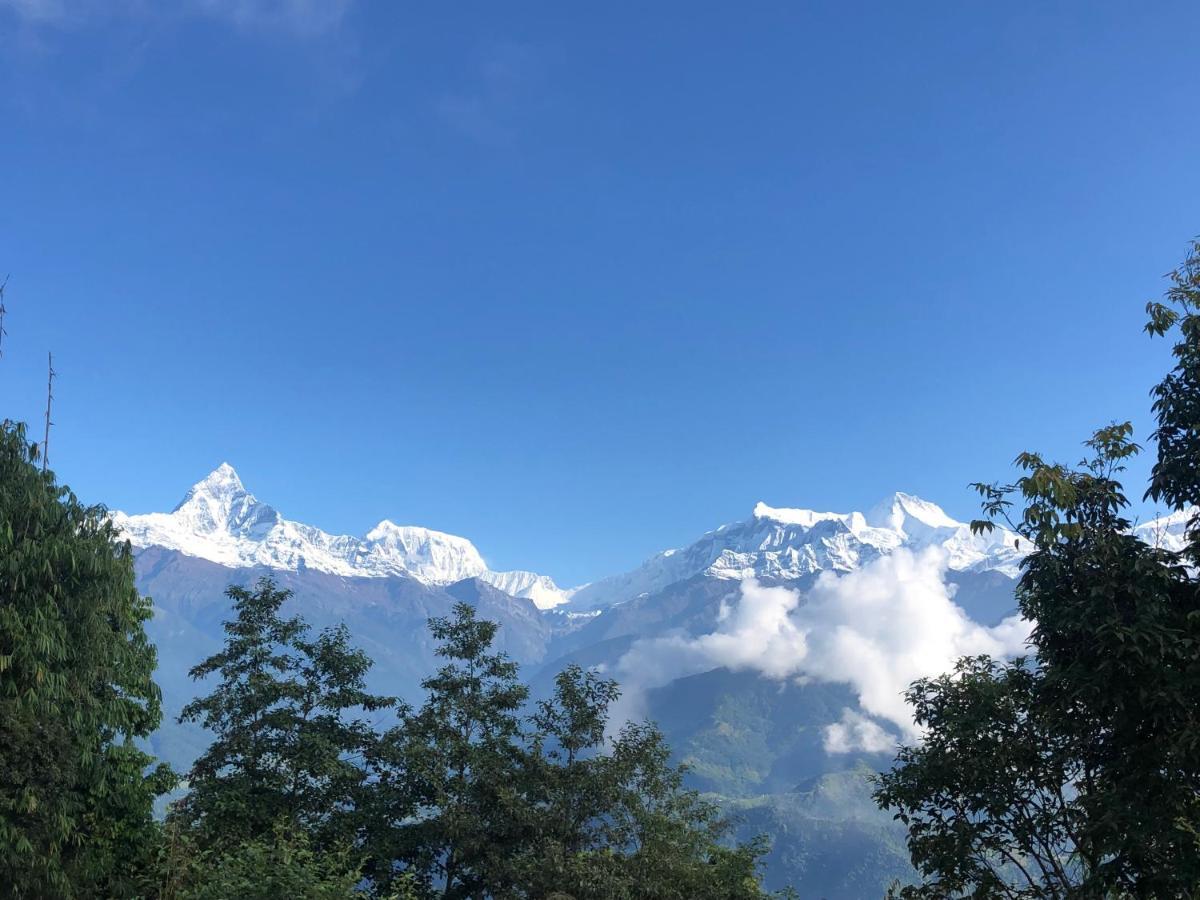 Hotel Pristine Himalaya Pokhara Exterior foto